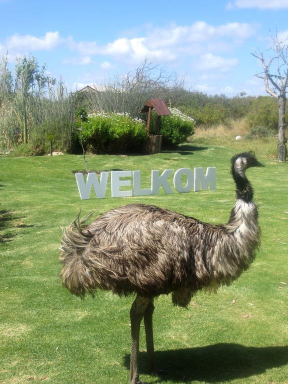 Thali Thali Game Lodge Langebaan Dış mekan fotoğraf