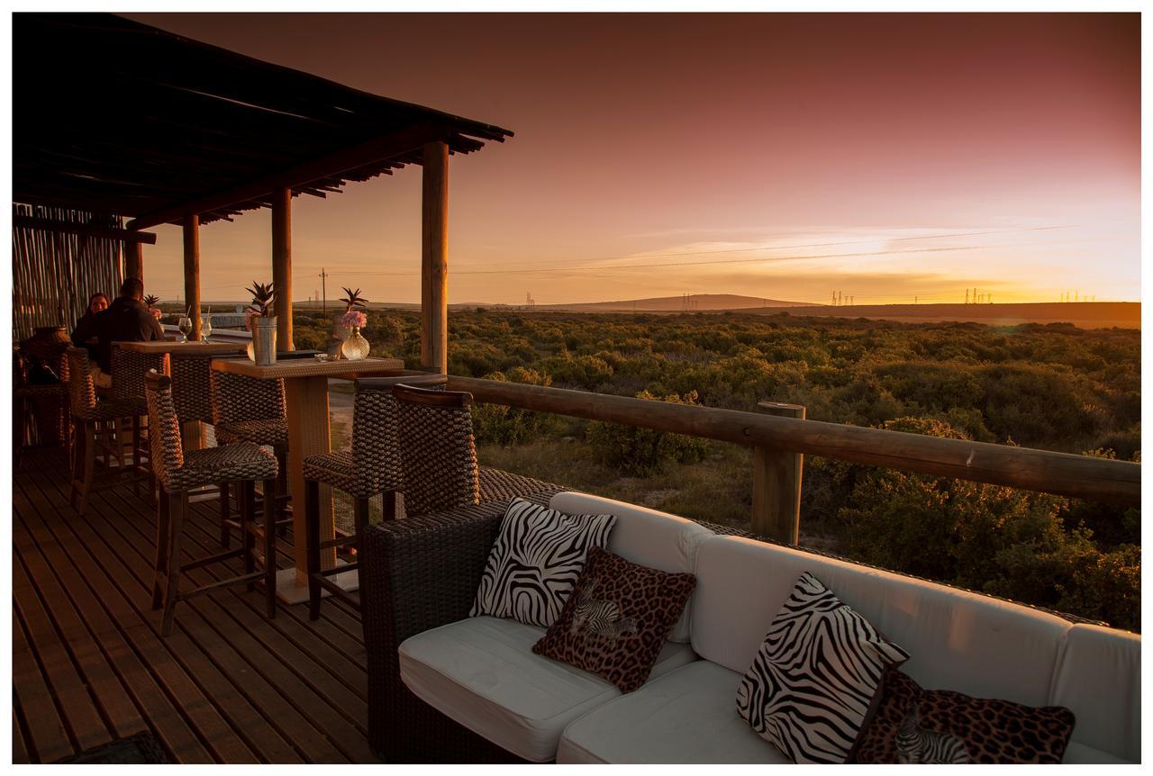 Thali Thali Game Lodge Langebaan Dış mekan fotoğraf