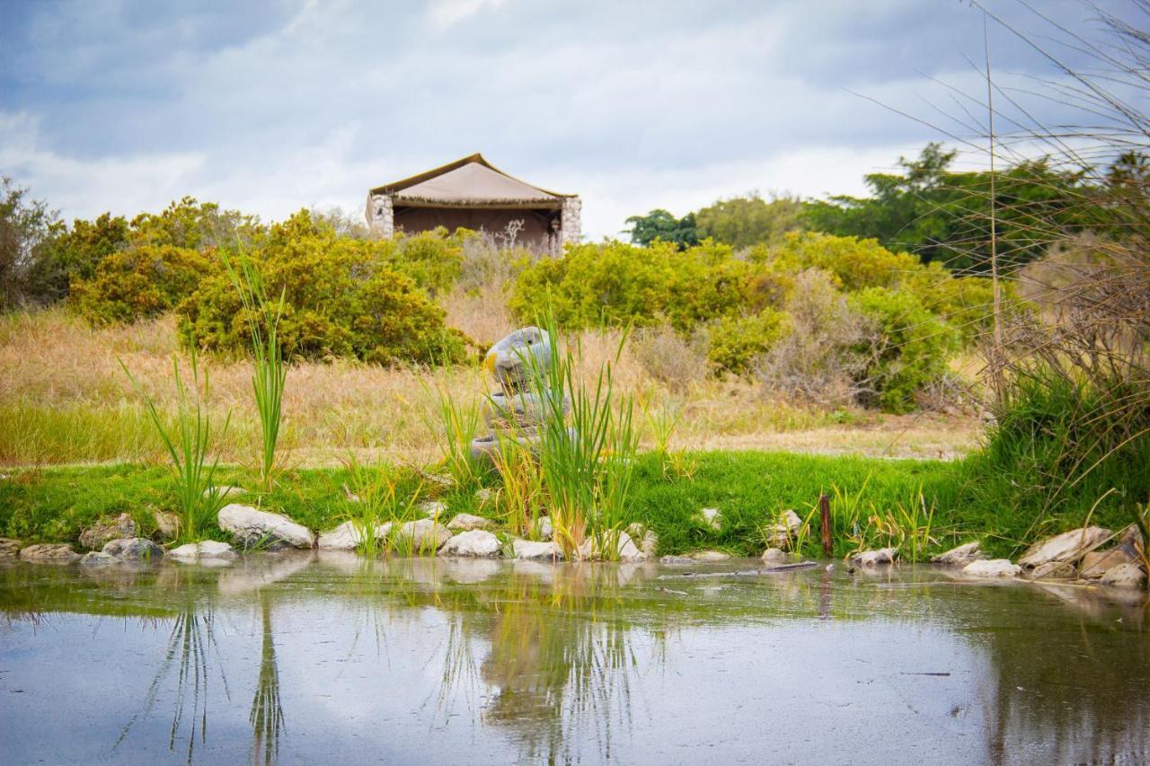 Thali Thali Game Lodge Langebaan Dış mekan fotoğraf